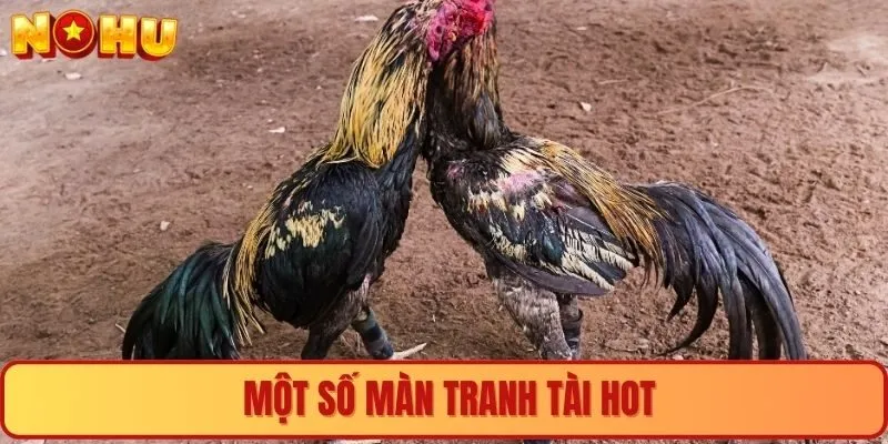 Một số màn tranh tài hot